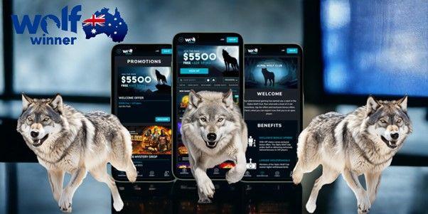 Некоторая информация о Wolf Winner Casino AU