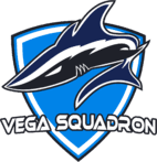 Vega Squadron Academy