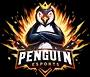 Penguin Esports (dota2)