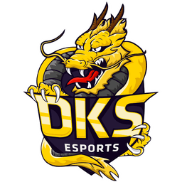 DKS Esports(valorant)