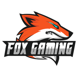 Fox Gaming(valorant)