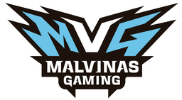 Malvinas Gaming(valorant)