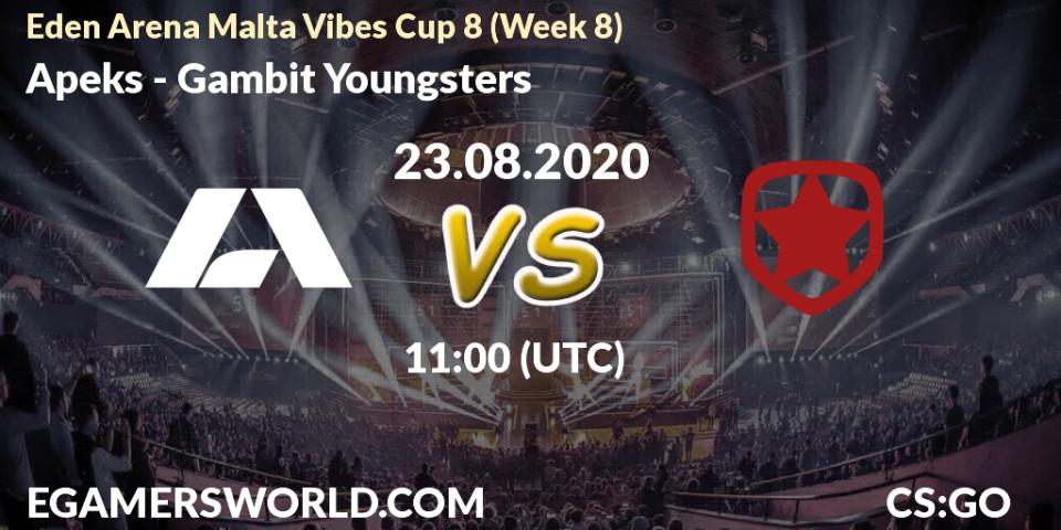 Apeks - Gambit Youngsters: прогноз. 23.08.2020 at 11:00, Counter-Strike (CS2), Eden Arena Malta Vibes Cup 8 (Week 8)