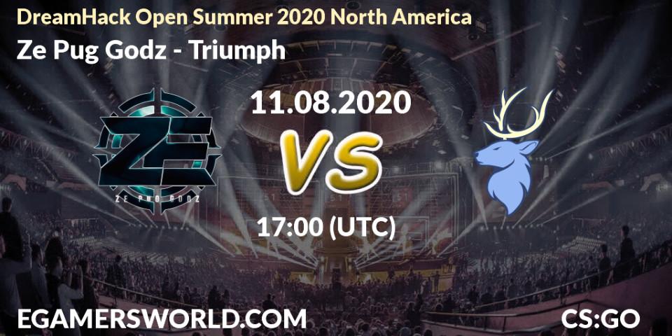 Ze Pug Godz - Triumph: прогноз. 11.08.2020 at 17:00, Counter-Strike (CS2), DreamHack Open Summer 2020 North America