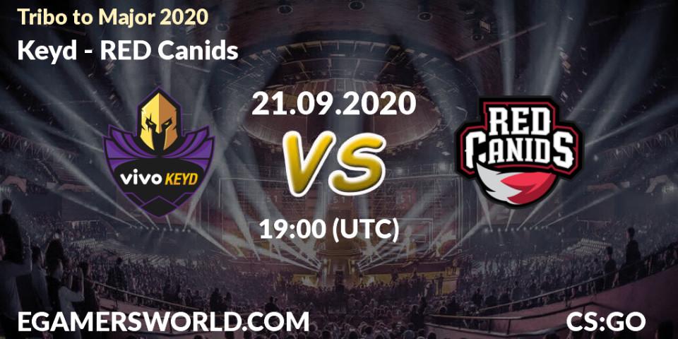 Keyd - RED Canids: прогноз. 21.09.2020 at 19:00, Counter-Strike (CS2), Tribo to Major 2020