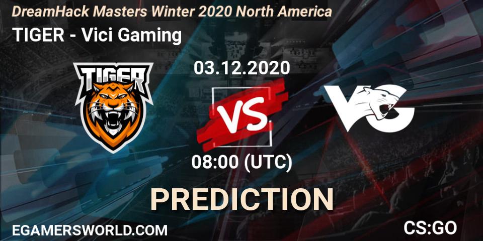 TIGER - Vici Gaming: прогноз. 03.12.2020 at 08:00, Counter-Strike (CS2), DreamHack Masters Winter 2020 Asia