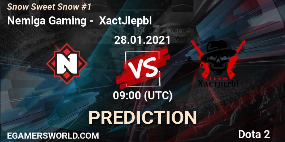 Nemiga Gaming - XactJlepbI: прогноз. 28.01.2021 at 08:57, Dota 2, Snow Sweet Snow #1