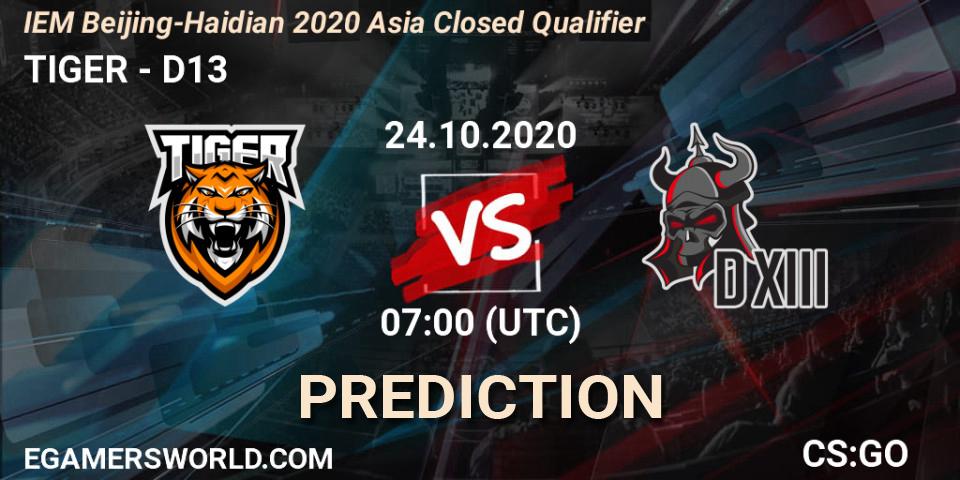 TIGER - D13: прогноз. 24.10.2020 at 07:00, Counter-Strike (CS2), IEM Beijing-Haidian 2020 Asia Closed Qualifier