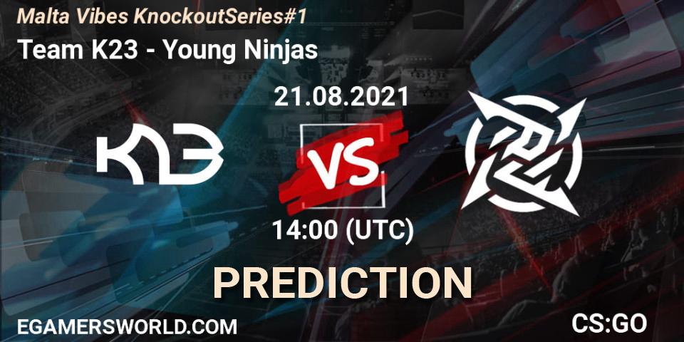 Team K23 - Young Ninjas: прогноз. 21.08.21, CS2 (CS:GO), Malta Vibes Knockout Series #1