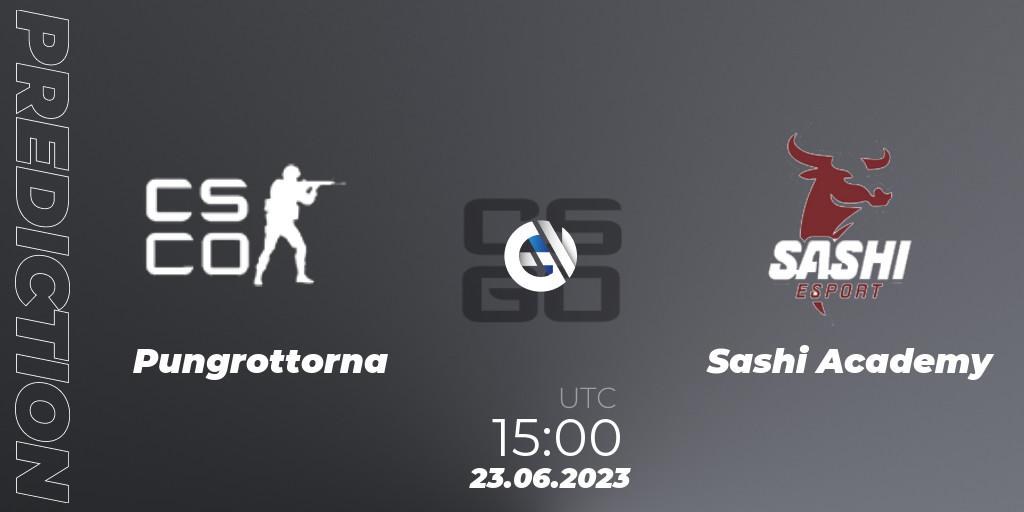 Pungrottorna - Sashi Academy: прогноз. 23.06.2023 at 15:00, Counter-Strike (CS2), Preasy Summer Cup 2023