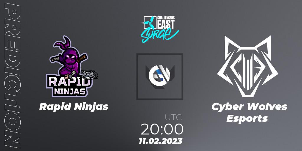 Rapid Ninjas - Cyber Wolves Esports: прогноз. 11.02.23, VALORANT, VALORANT Challengers 2023 East: Surge Split 1