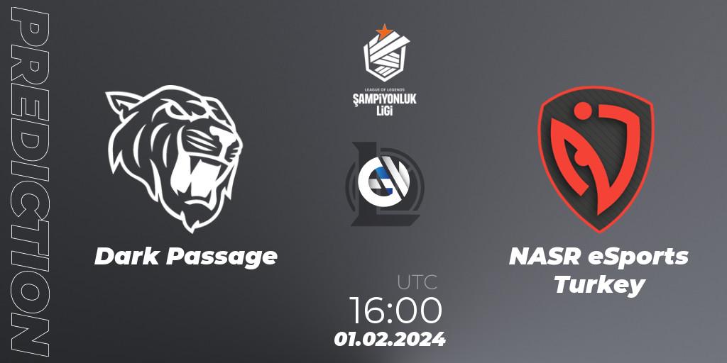 Dark Passage - NASR eSports Turkey: прогноз. 01.02.24, LoL, TCL Winter 2024