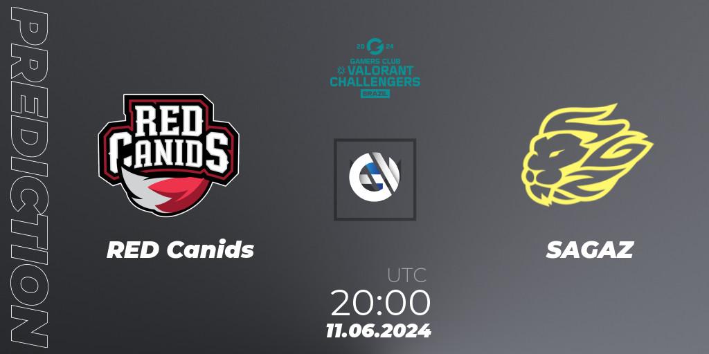 RED Canids - SAGAZ: прогноз. 11.06.2024 at 20:00, VALORANT, VALORANT Challengers 2024 Brazil: Split 2