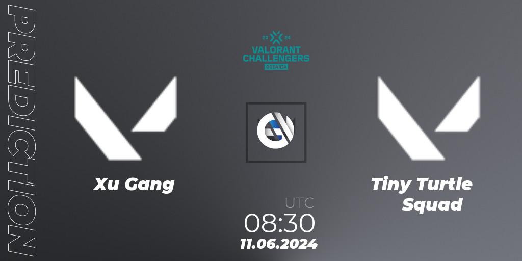 Xu Gang - Tiny Turtle Squad: прогноз. 11.06.2024 at 08:30, VALORANT, VALORANT Challengers 2024 Oceania: Split 2