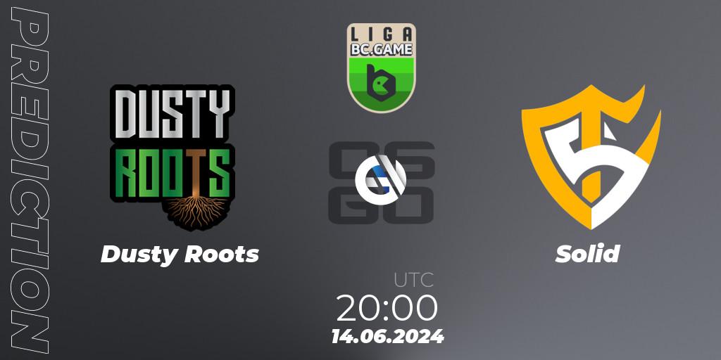 Dusty Roots - Solid: прогноз. 14.06.2024 at 20:00, Counter-Strike (CS2), Dust2 Brasil Liga Season 3