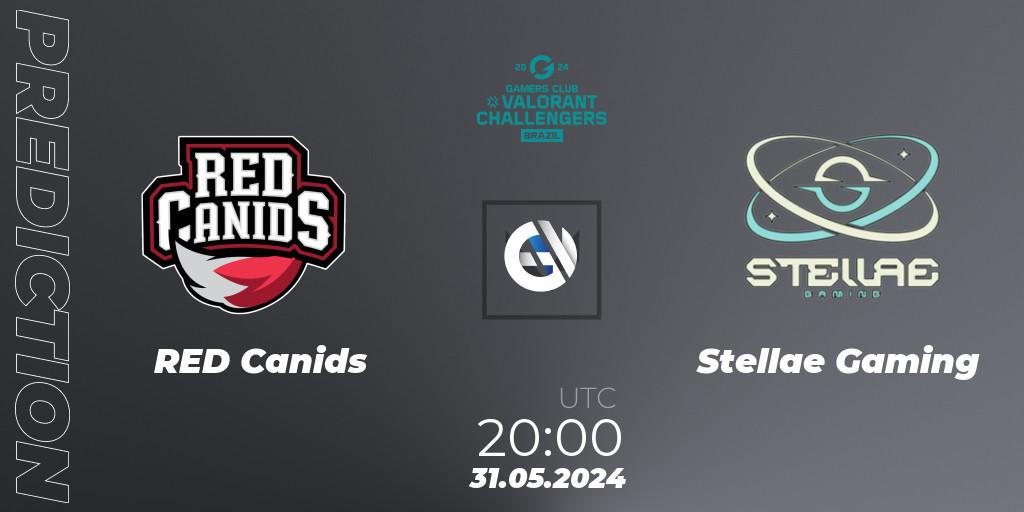 RED Canids - Stellae Gaming: прогноз. 31.05.2024 at 20:00, VALORANT, VALORANT Challengers 2024 Brazil: Split 2