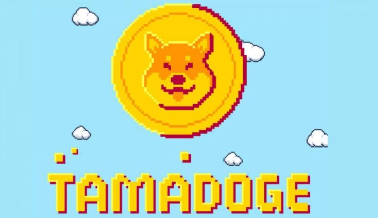Tamadoge — очередная попытка хайпа на Dogecoin или отличная новинка в мире NFT-игр?