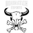 DomiNation eSports (counterstrike)