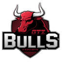 GTZ Bulls Esports (counterstrike)