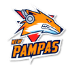 New Pampas(counterstrike)