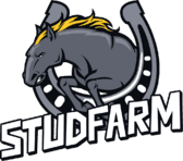 StudFarm Esport(counterstrike)