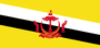 Brunei(dota2)