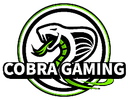 Cobra Gaming (dota2)