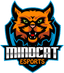 MINDCAT Esports