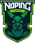 NoPing eSports(dota2)