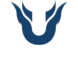 Team Unique