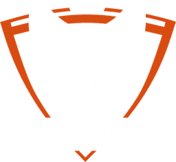 GeekSide Esports