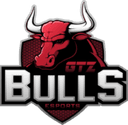 GTZ Bulls (lol)
