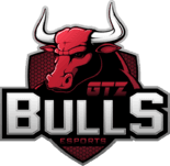 GTZ Bulls(lol)