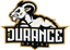 nDurance Gaming