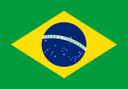 Brazil(overwatch)