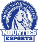 Mount Aloysius College (overwatch)