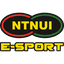 NTNUI e-sports