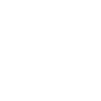 PUBG Vietnam Series 2024 - Spring