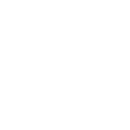 EBL Season 12