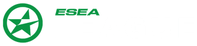 ESEA Season 39: Intermediate Division - South Africa