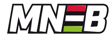 Magyar Nemzeti E-sport Bajnokság 2022