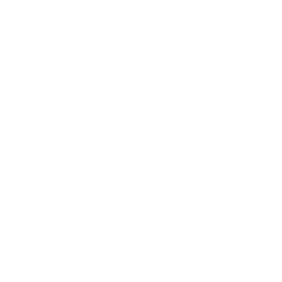 LFL 2024 - Up & Down
