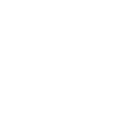 SEA Icon Series 2021: Fall - Vietnam - Playoffs