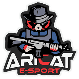 Aricat Esport(valorant)