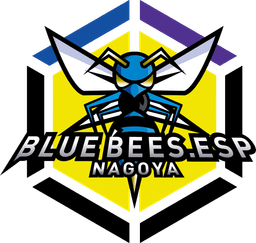 CNCI BLUE BEES(valorant)