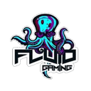 Fluid Gaming (valorant)
