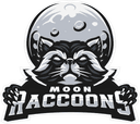 Moon Raccoons Black (valorant)