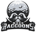 Moon Raccoons (valorant)