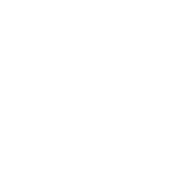 PartyParrots(valorant)