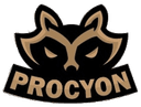 Procyon Team (valorant)